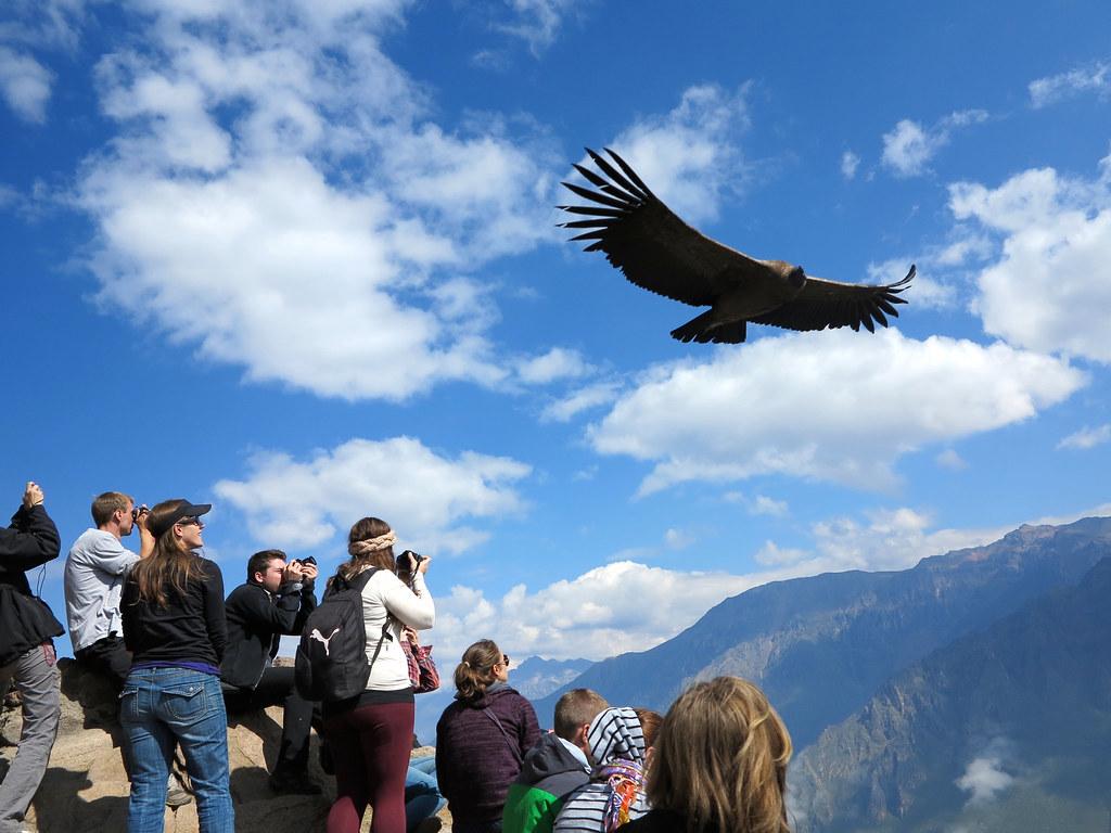 colca what to dress