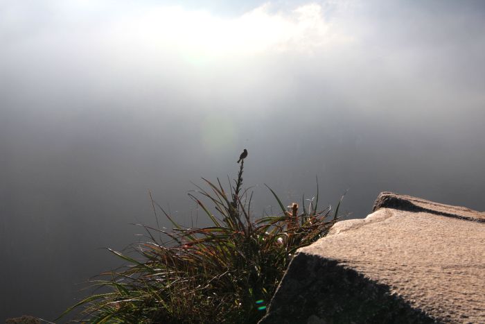 foggy machu picchu, slow travel to peru