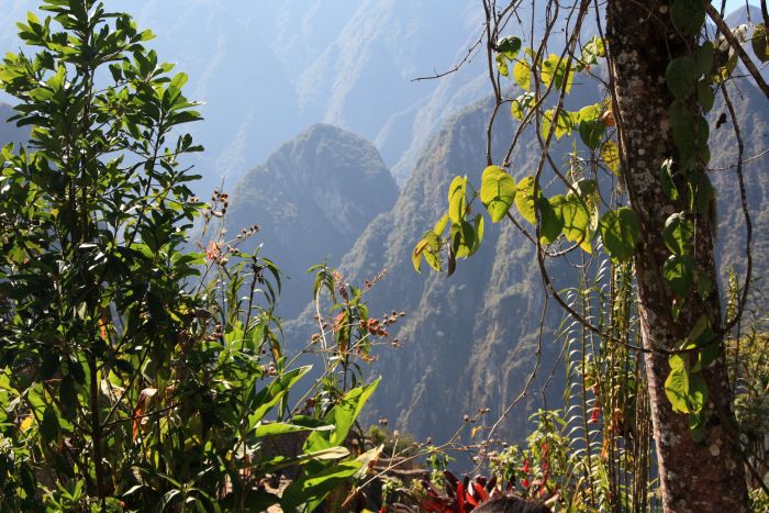 green machu picchu, slow vacations in peru