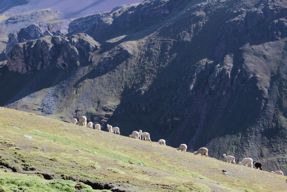 Трекинг Аусангате, Куско, Перу