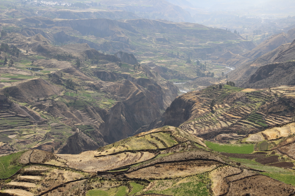 Colca canyon, Arequipa, Peru