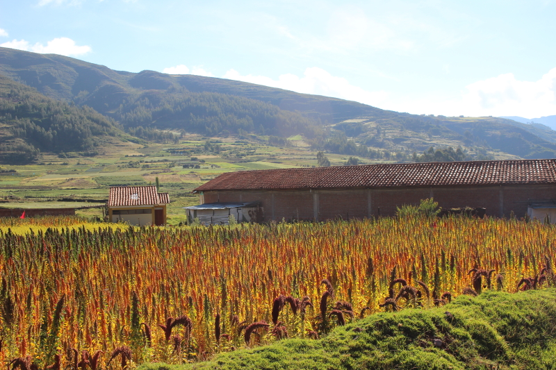 Sacred Valley Peru. Top 7 Places to visit