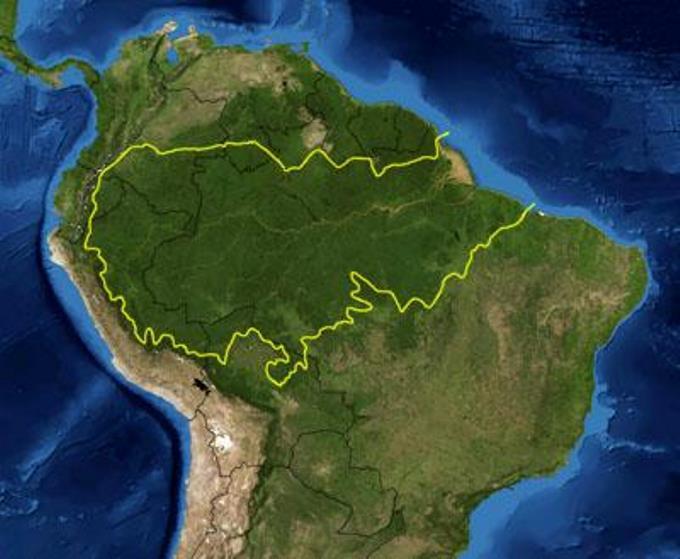 Amazon Jungle and Amazon river in Peru