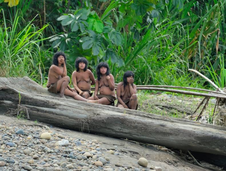 The Indigenous Tribes of the Amazon