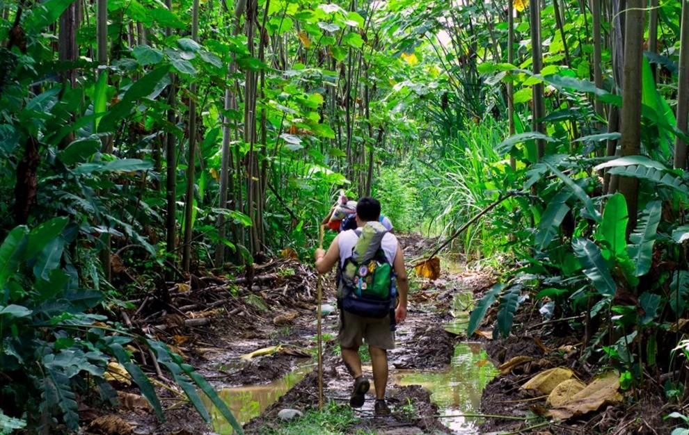 Survival tours in the Amazon jungle Peru