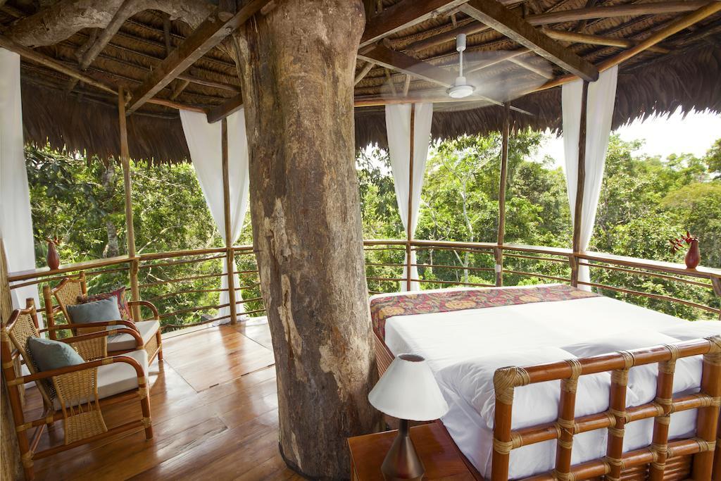 лодж Treehouse, Икитос / Iquitos Peru