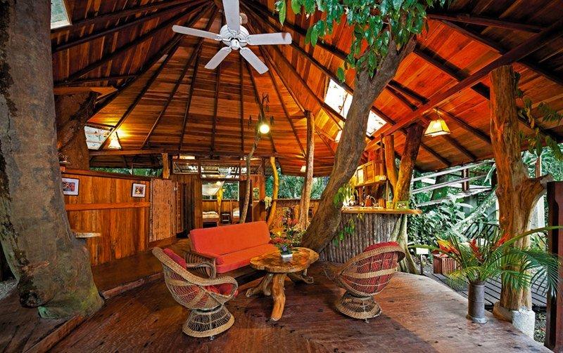 лодж Treehouse, Икитос / Iquitos Peru