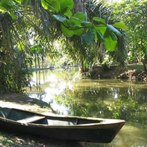 Iquitos