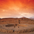 Caral-Supe: the Most Ancient City of The Americas