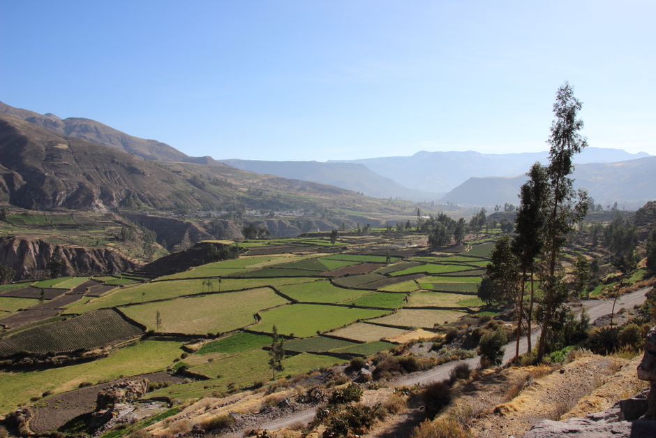 Colca Canyon