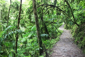 8-Day Journey to One of the Least Explored Regions of Peru