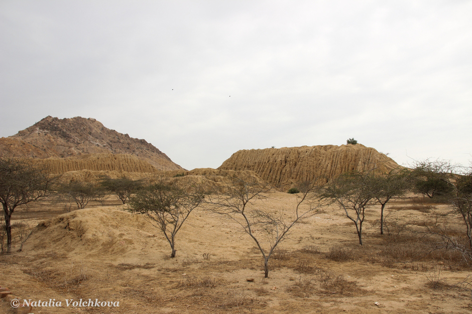 Lambayeque Valley: The Enigmatic Land of Pyramids