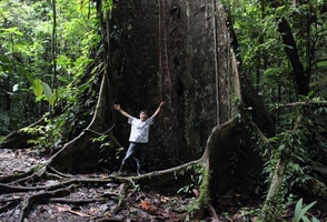 8-Day Inca Lands and Tambopata Rainforest Jungle