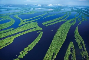 8-Day Inca Lands and Tambopata Rainforest Jungle