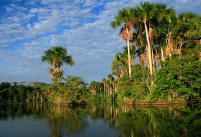 8-Day Inca Lands and Tambopata Rainforest Jungle