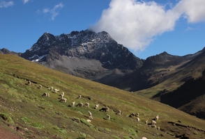 Journey Through Ancient Peru: 16-Day Odyssey from Lima to Machu Picchu