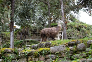 8-Day Journey to One of the Least Explored Regions of Peru