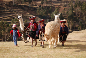 10-Day Exploring Southern Peru with Belmond, Hiram Bingham & Andean Explorer Trains