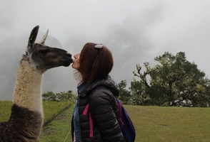 Journey Through Ancient Peru: 16-Day Odyssey from Lima to Machu Picchu