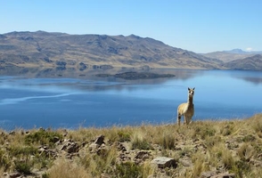 Majestic Southern Peru: 8-Day Journey through Arequipa, Colca, Puno, Titicaca, Nasca & Paracas