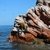 Paracas Oasis and Ballestas Bliss: A Tourist's Heaven of Natural Marvels