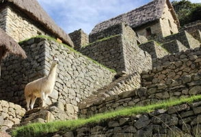 10-Day Exploring Southern Peru with Belmond, Hiram Bingham & Andean Explorer Trains