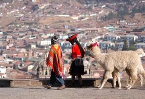 8-Day Inca Lands and Tambopata Rainforest Jungle