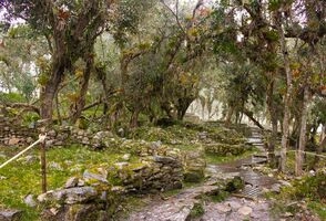 4-Day Chachapoyas History and Nature: Kuelap and Gocta Private Tour