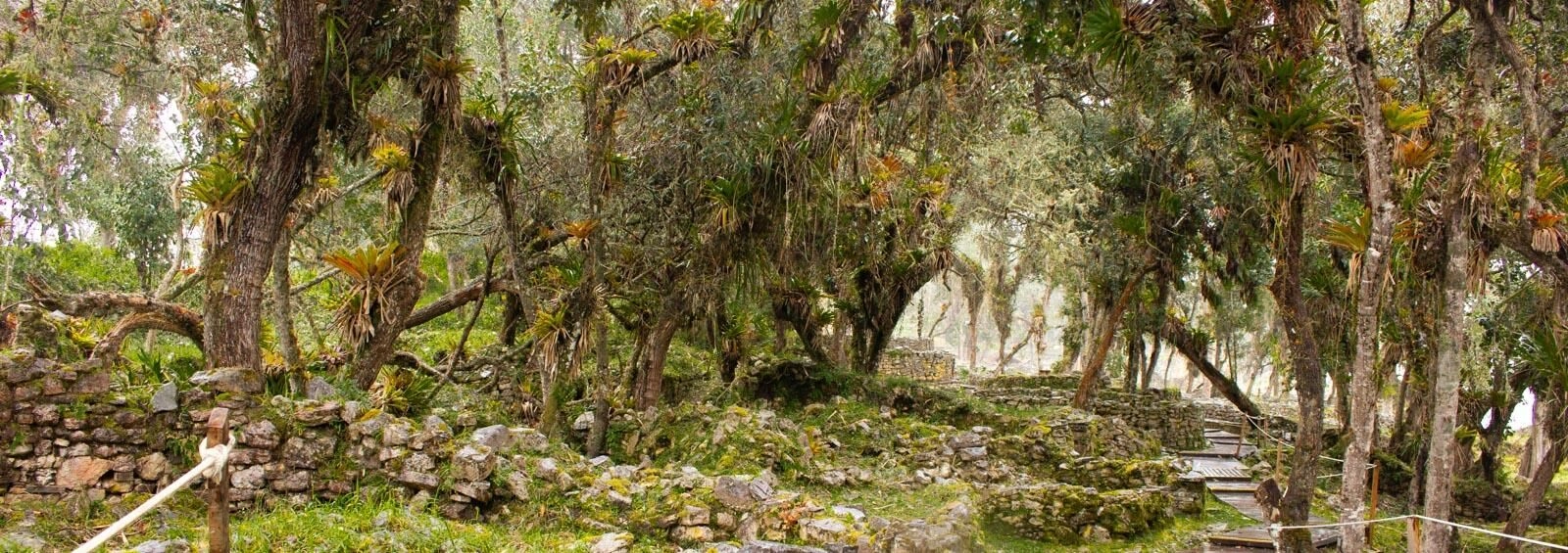 4-Day Chachapoyas History and Nature: Kuelap and Gocta Private Tour